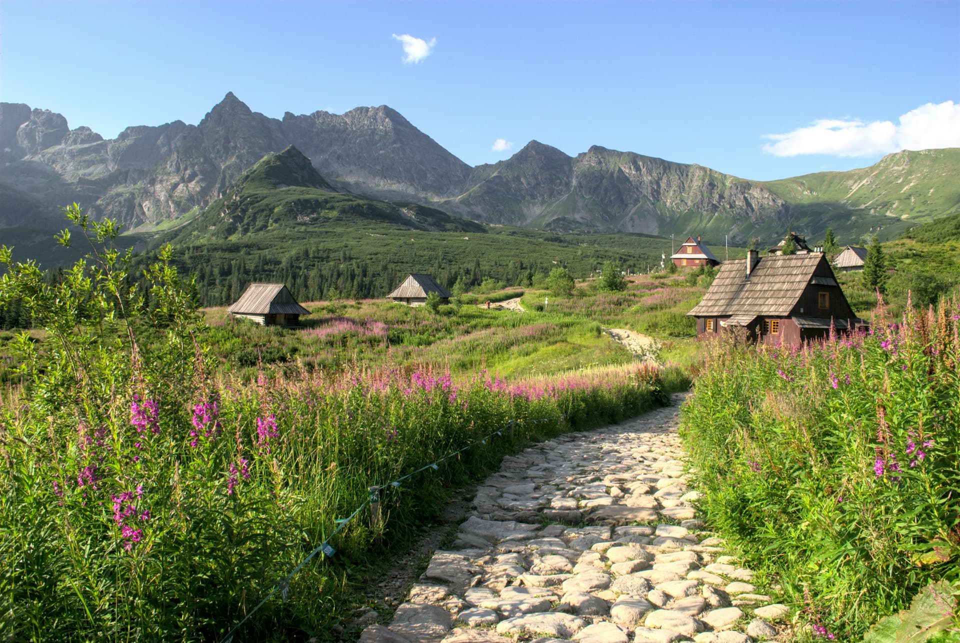 Zakopane-mountain-hike